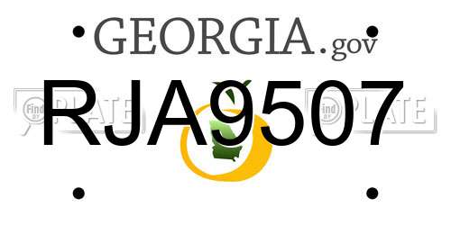 RJA9507 Georgia License Plate