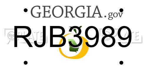 RJB3989 Georgia License Plate