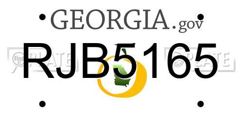 RJB5165 Georgia License Plate