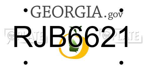 RJB6621 Georgia License Plate