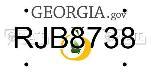RJB8738 Georgia License Plate