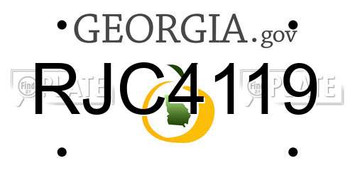 RJC4119 Georgia License Plate