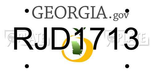 RJD1713 Georgia License Plate