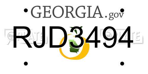RJD3494 Georgia License Plate