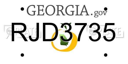 RJD3735 Georgia License Plate