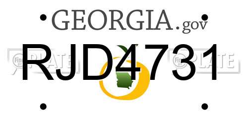 RJD4731 Georgia License Plate