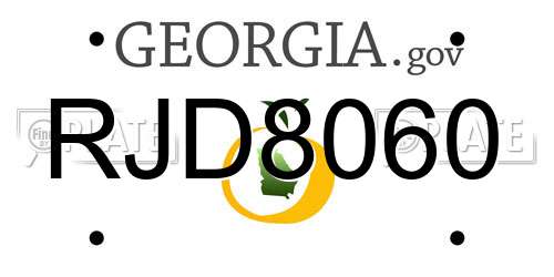 RJD8060 Georgia License Plate