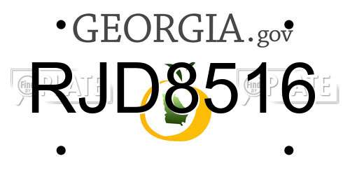 RJD8516 Georgia License Plate