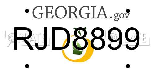 RJD8899 Georgia License Plate