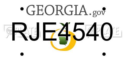 RJE4540 Georgia License Plate