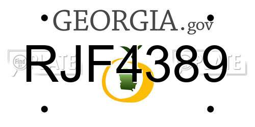 RJF4389 Georgia License Plate