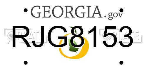 RJG8153 Georgia License Plate