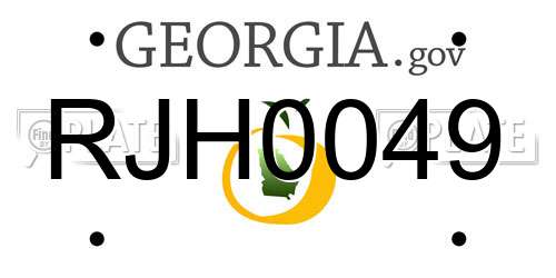 RJH0049 Georgia License Plate