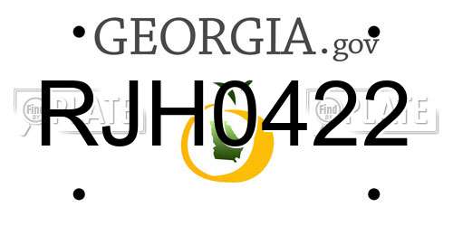 RJH0422 Georgia License Plate