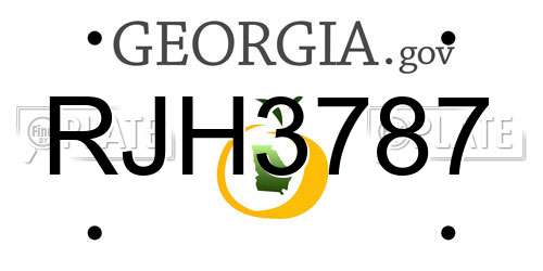 RJH3787 Georgia License Plate