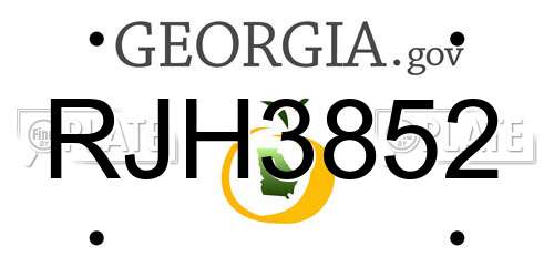 RJH3852 Georgia License Plate