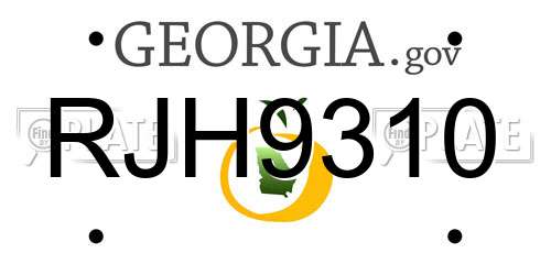 RJH9310 Georgia License Plate