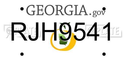 RJH9541 Georgia License Plate