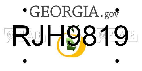 RJH9819 Georgia License Plate