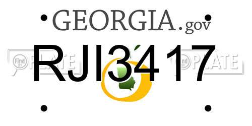 RJI3417 Georgia License Plate