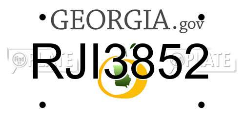 RJI3852 Georgia License Plate