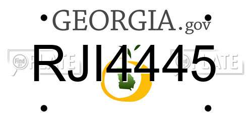 RJI4445 Georgia License Plate
