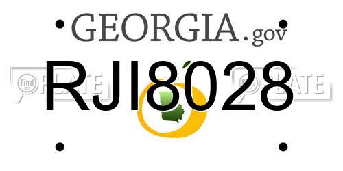 RJI8028 Georgia License Plate