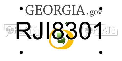 RJI8301 Georgia License Plate