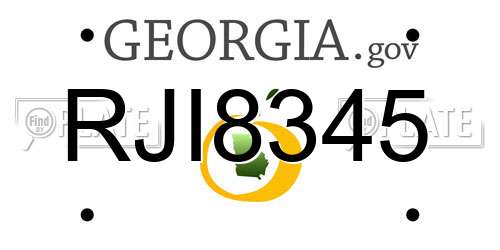 RJI8345 Georgia License Plate