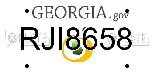 RJI8658 Georgia License Plate