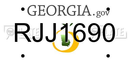 RJJ1690 Georgia License Plate