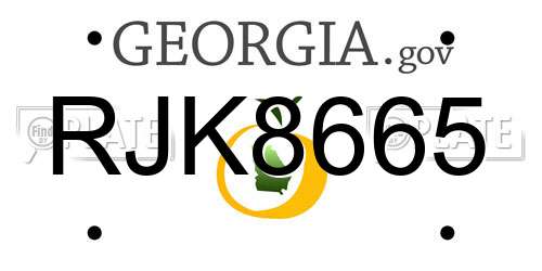 RJK8665 Georgia License Plate