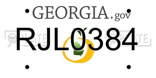 RJL0384 Georgia License Plate