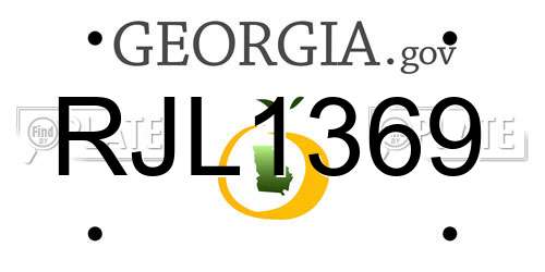 RJL1369 Georgia License Plate