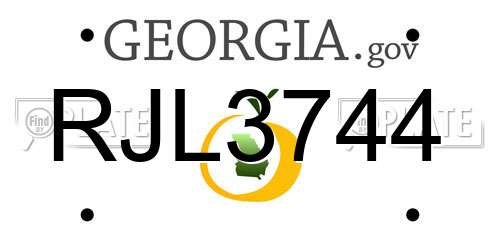 RJL3744 Georgia License Plate