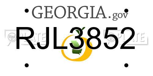 RJL3852 Georgia License Plate
