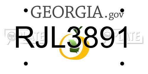 RJL3891 Georgia License Plate
