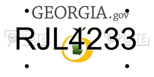 RJL4233 Georgia License Plate