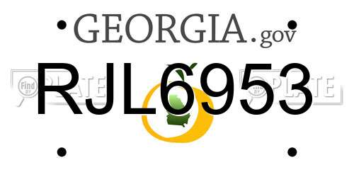 RJL6953 Georgia License Plate