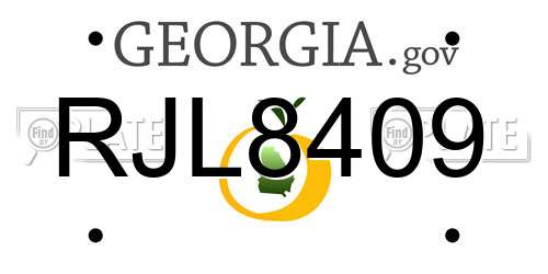 RJL8409 Georgia License Plate