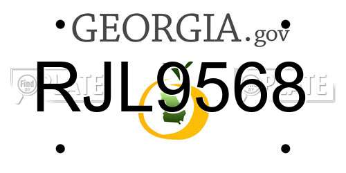 RJL9568 Georgia License Plate