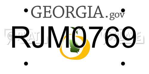 RJM0769 Georgia License Plate