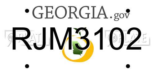 RJM3102 Georgia License Plate