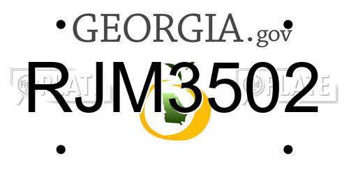 RJM3502 Georgia License Plate