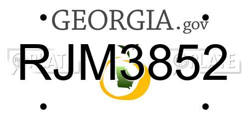 RJM3852 Georgia License Plate