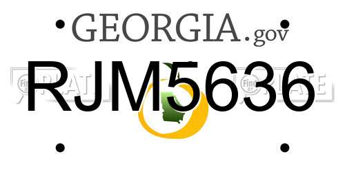RJM5636 Georgia License Plate