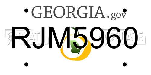 RJM5960 Georgia License Plate