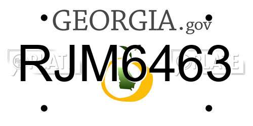 RJM6463 Georgia License Plate