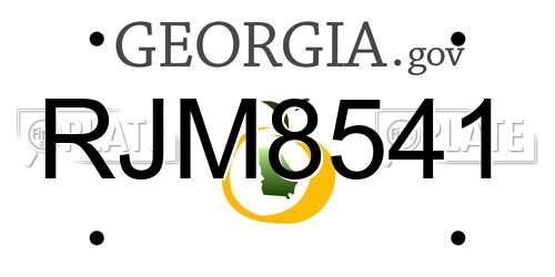 RJM8541 Georgia License Plate