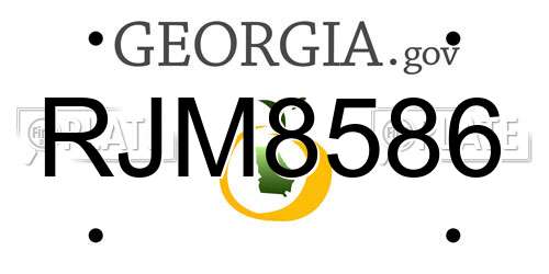 RJM8586 Georgia License Plate